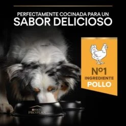 Purina Pro Plan All Sizes Adult Light Sterilised Pollo -Mascota Tienda 44142699 es es 221230 1 1