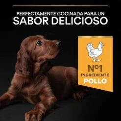 PURINA PRO PLAN Large Athletic Puppy Healthy Start -Mascota Tienda 44142743 es es 221230 1 3