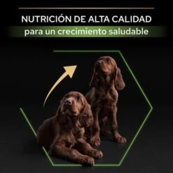 PURINA PRO PLAN Large Athletic Puppy Healthy Start -Mascota Tienda 44142743 es es 221230 1 3 5