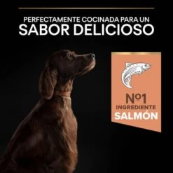 Purina Pro Plan Large Athletic Adult Sensitive Skin Salmón -Mascota Tienda 44152227 es es 221230 1 2