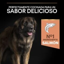 PURINA PRO PLAN Large Robust Adult Sensitive Skin Salmón -Mascota Tienda 44152235 es es 221230 1 1 2