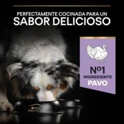 PURINA PRO PLAN Medium & Large Adult Sensitive Digestion Sin Cereales 16 PURINA PRO PLAN Medium & Large Adult Sensitive Digestion Sin Cereales -Mascota Tienda 44161695 es es 221230 1 6