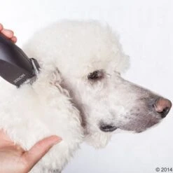 Máquina Cortapelo Moser Max50 -Mascota Tienda 465281 schermaschine moser max 50 05 4