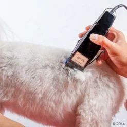 Máquina Cortapelo Moser 1400 -Mascota Tienda 465374 schermaschine moser 1400 03 3