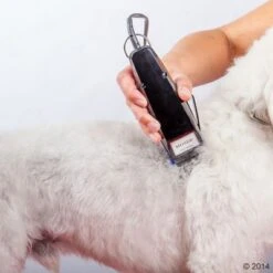 Máquina Cortapelo Moser 1400 -Mascota Tienda 465374 schermaschine moser 1400 04 2