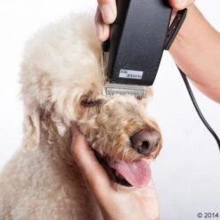 Máquina Cortapelo Moser Rex 23 Máquina Cortapelo Moser Rex -Mascota Tienda 465375 schermaschine moser rex 04 0