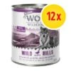 Wolf Of Wilderness Senior 12 X 800 G - Pack Ahorro -Mascota Tienda 4 12x 1000x1000px 3