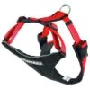 Arnés De Canicross NEEWA Running Rojo Para Perros -Mascota Tienda 505648 hp pla neewa running harness rot 3