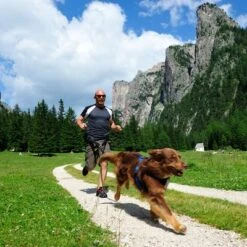 Arnés De Canicross NEEWA Running Rojo Para Perros -Mascota Tienda 505648 hs neewa running harness rot im einsatz 4