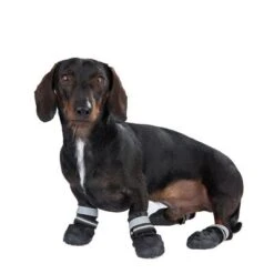 Productos Destacados 10 Zapatos Para Perros S & P Boots