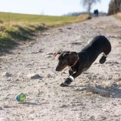 Zapatos Para Perros S & P Boots 18 Zapatos Para Perros S & P Boots -Mascota Tienda 52149 hundeschuhe xs fg 0967 9