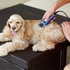 Set Máquina Cortapelo Para Mascotas Oster 220 V -Mascota Tienda 53731 osterheimtierschermaschinen hs 12 3