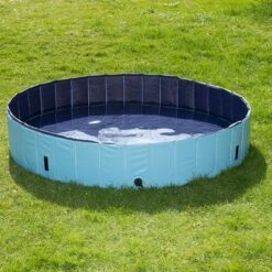 Piscina Para Perros Keep Cool -Mascota Tienda 60405 PLA Dog Pool Keep Cool 160 FG DSC4746 6