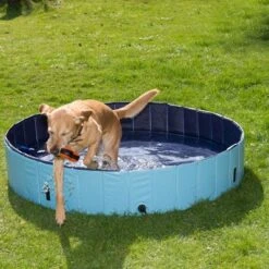 Piscina Para Perros Keep Cool -Mascota Tienda 60405 dog pool mit hund 01 5