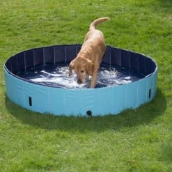 Piscina Para Perros Keep Cool -Mascota Tienda 60405 dog pool mit hund 02 0