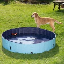 Piscina Para Perros Keep Cool -Mascota Tienda 60405 dog pool mit hund 04 8