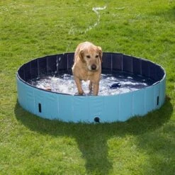 Piscina Para Perros Keep Cool -Mascota Tienda 60405 dog pool mit hund 05 2