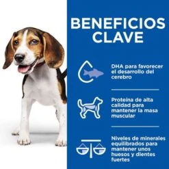 Hill's Science Plan Hill’s Puppy Medium & Large Healthy Cuisine Con Pollo Para Perros -Mascota Tienda 606601 9 4