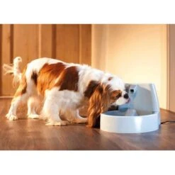 Fuente De Agua Para Mascotas Drinkwell Original De PetSafe 14 Fuente De Agua Para Mascotas Drinkwell Original De PetSafe -Mascota Tienda 60939 dw o trinkbrunnen 1 5 hs 03 0