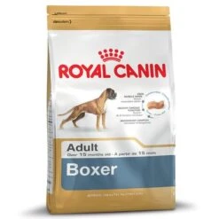 Royal Canin Boxer Adult -Mascota Tienda 61118 PLA rgb Royal Canin Breed Boxer Adult 12kg 6