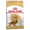 Royal Canin Cocker Adult 2 Royal Canin Cocker Adult -Mascota Tienda 61129 pla royalcanin adulthund cocker 6
