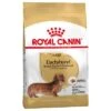 Royal Canin Teckel Adult -Mascota Tienda 61135 pla royalcanin adulthund dachshund 5