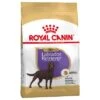 Royal Canin Sterilised Labrador Retriever Adult 1 Royal Canin Sterilised Labrador Retriever Adult -Mascota Tienda 61153 pla royalcanin adulthund labradotsterilised 6