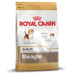 Royal Canin Beagle Adult 5 Royal Canin Beagle Adult -Mascota Tienda 61337 PLA rgb Royal Canin Beagle Adult 6