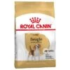 Royal Canin Beagle Adult -Mascota Tienda 61338 pla royalcanin adulthund beagle 2