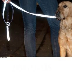 Correa Ajustable Y Reflectante Trixie Color Gris -Mascota Tienda 61857 trixie vleinepfoten4 1