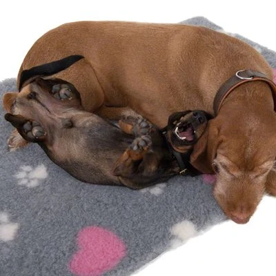 Manta Térmica Isobed Para Perros 14 Manta Térmica Isobed Para Perros - Imagen 12