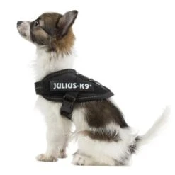 Julius K9 Arnés Julius-K9 IDC® Power Negro Para Perros -Mascota Tienda 65467 julius k9 idc powergeschirr schwarz 7