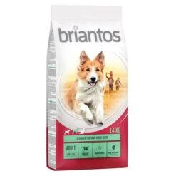 Briantos Pienso Para Perros - Pack Ahorro -Mascota Tienda 66220 pla briantos adult lamm reis 14 kg hs 02 0