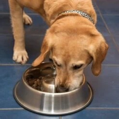 Comedero Antivoracidad De Acero Para Perros -Mascota Tienda 66349 antischlingnapf fg 1008 7