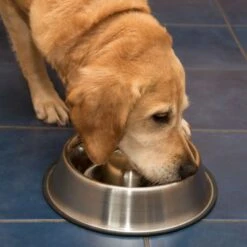 Comedero Antivoracidad De Acero Para Perros -Mascota Tienda 66349 antischlingnapf fg 1011 1