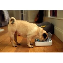 Comedero Hermético SureFeed -Mascota Tienda 69308 pla 6 luftdichte futt 3