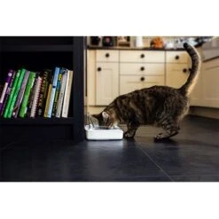 Comedero Hermético SureFeed -Mascota Tienda 69308 pla 7 luftdichte futt 5