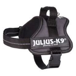 Julius K9 Arnés JULIUS-K9® Power Antracita Para Perros -Mascota Tienda 69338 pla trixie julius k9 farbangabe hs 03 15020za 3