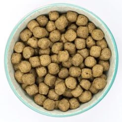 Burns Adult Original Con Pescado Y Arroz Integral -Mascota Tienda 6 original fish 1