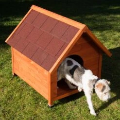 Caseta De Madera Spike Classic -Mascota Tienda 70438 outside fg 3497 1