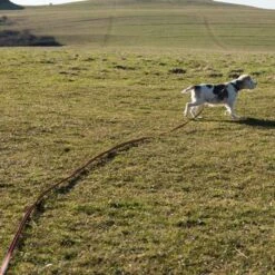 Correa De Rastreo Heim Engomada Para Perros 35 Correa De Rastreo Heim Engomada Para Perros -Mascota Tienda 71830 supergrip outside fg 3556 0