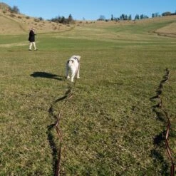 Correa De Rastreo Heim Engomada Para Perros 34 Correa De Rastreo Heim Engomada Para Perros -Mascota Tienda 71830 supergrip outside fg 3561 5