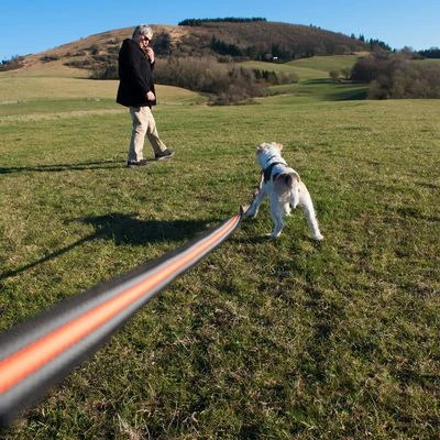 Correa De Rastreo Heim Engomada Para Perros 10 Correa De Rastreo Heim Engomada Para Perros - Imagen 8