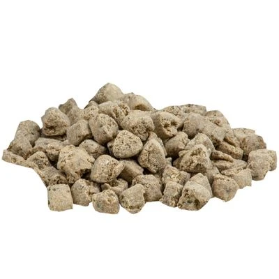 Alpha Spirit The Only One Wild Fish 4 Alpha Spirit The Only One Wild Fish - Imagen 2