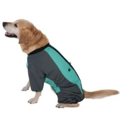 Abrigo Largo Overall II Para Perros -Mascota Tienda 73483 hundeoverall mint fg 1000px 2914 7