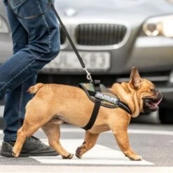 Julius K9 Arnés Julius-K9 IDC®-Power Camuflaje Para Perros -Mascota Tienda 73991 julius k9 idc powergeschirr camouflage hs7 8