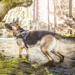 Julius K9 Arnés Julius-K9 IDC®-Power Camuflaje Para Perros -Mascota Tienda 74075 julius k9 idc powergeschirr camouflage 1 1