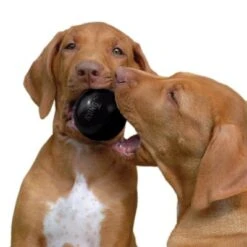 KONG Extreme Ball -Mascota Tienda 74241 kong extremeball hs 03 6