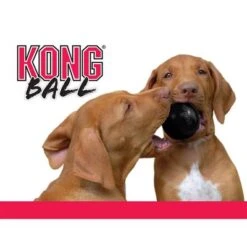 KONG Extreme Ball -Mascota Tienda 74241 kong extremeball hs 04 2