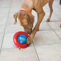 KONG Gyro Juguete Rellenable Para Perros -Mascota Tienda 74248 kong gyro 1